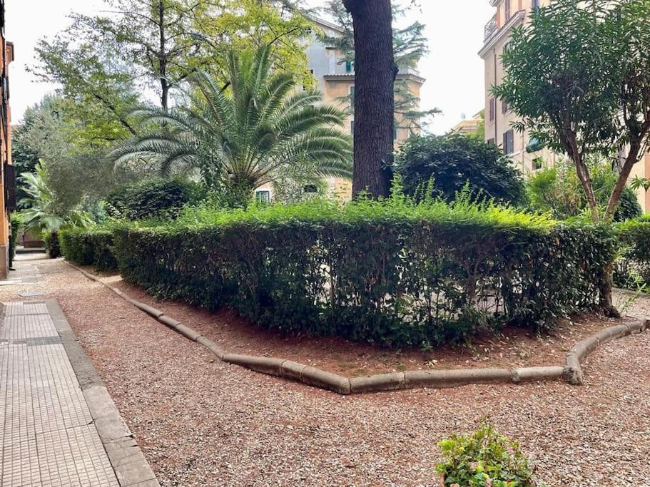 New - Comfortable Apt Porta Latina Roma Exterior foto